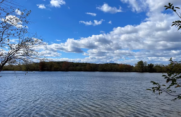 The Dog Park at Julian L. Capik Nature Preserve photo 2